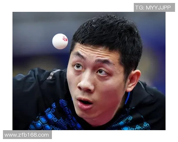 上海羽毛球队在总决赛积分榜上以75分稳居第一名展现强劲实力