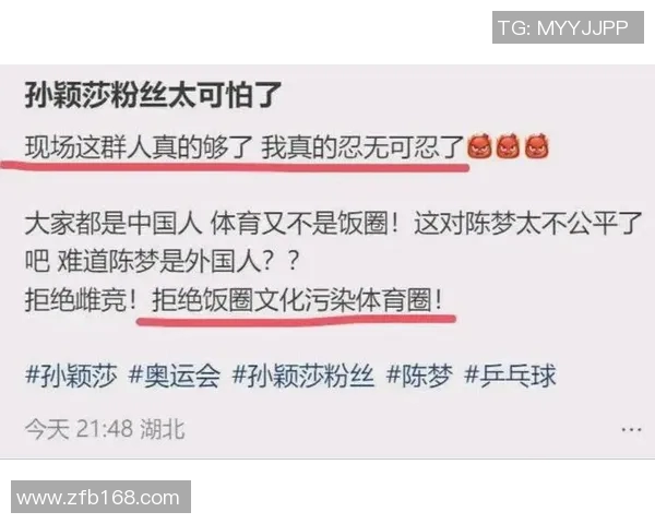 乒乓球场上的奋斗与梦想刘丽的深度对话与人生启示