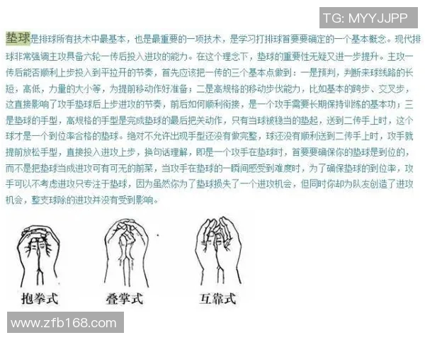 从零开始掌握排球技巧与战术全解析助你成为场上明星