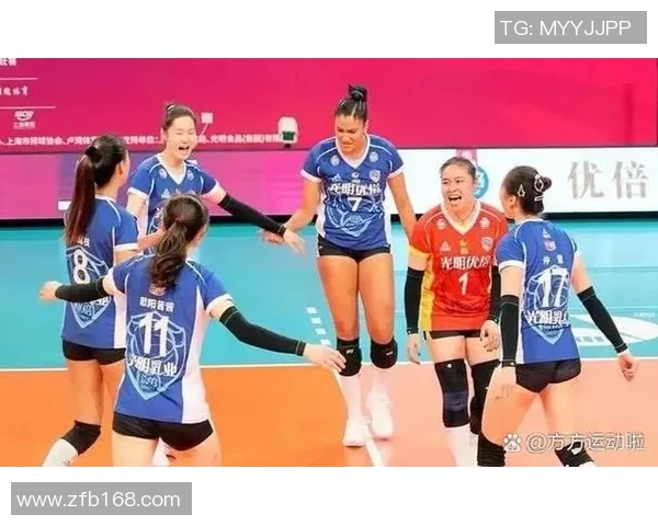 南京排球队实力强劲荣登全国排球力量排行榜第八名