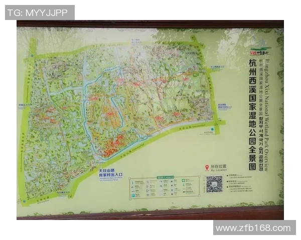 杭州篮球队杯赛技术分析与表现评估全景解读