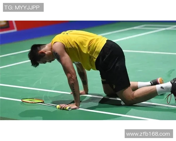 杭州羽毛球队杯赛征程回顾与奋斗精神的深度剖析