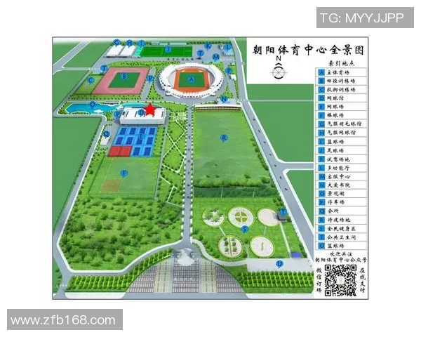 深度分析北京网球队的运营策略与市场发展路径