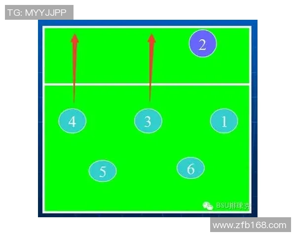 深入分析西安排球队的区域防守战术及其战术应用效果